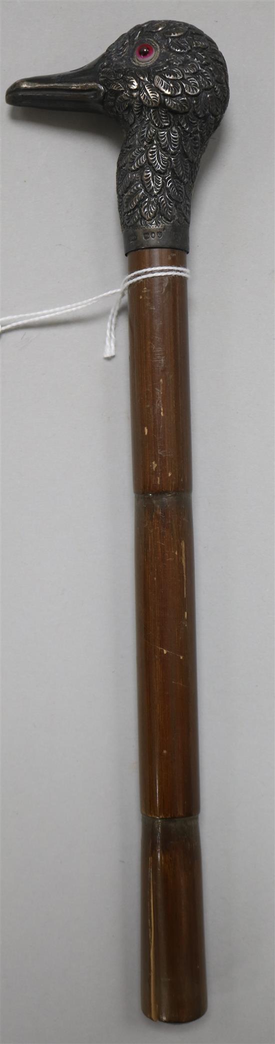 A Victorian walking cane with silver ducks head